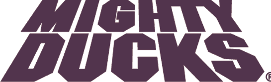 Mighty Ducks of Anaheim 1993-2006 Wordmark Logo iron on heat transfer